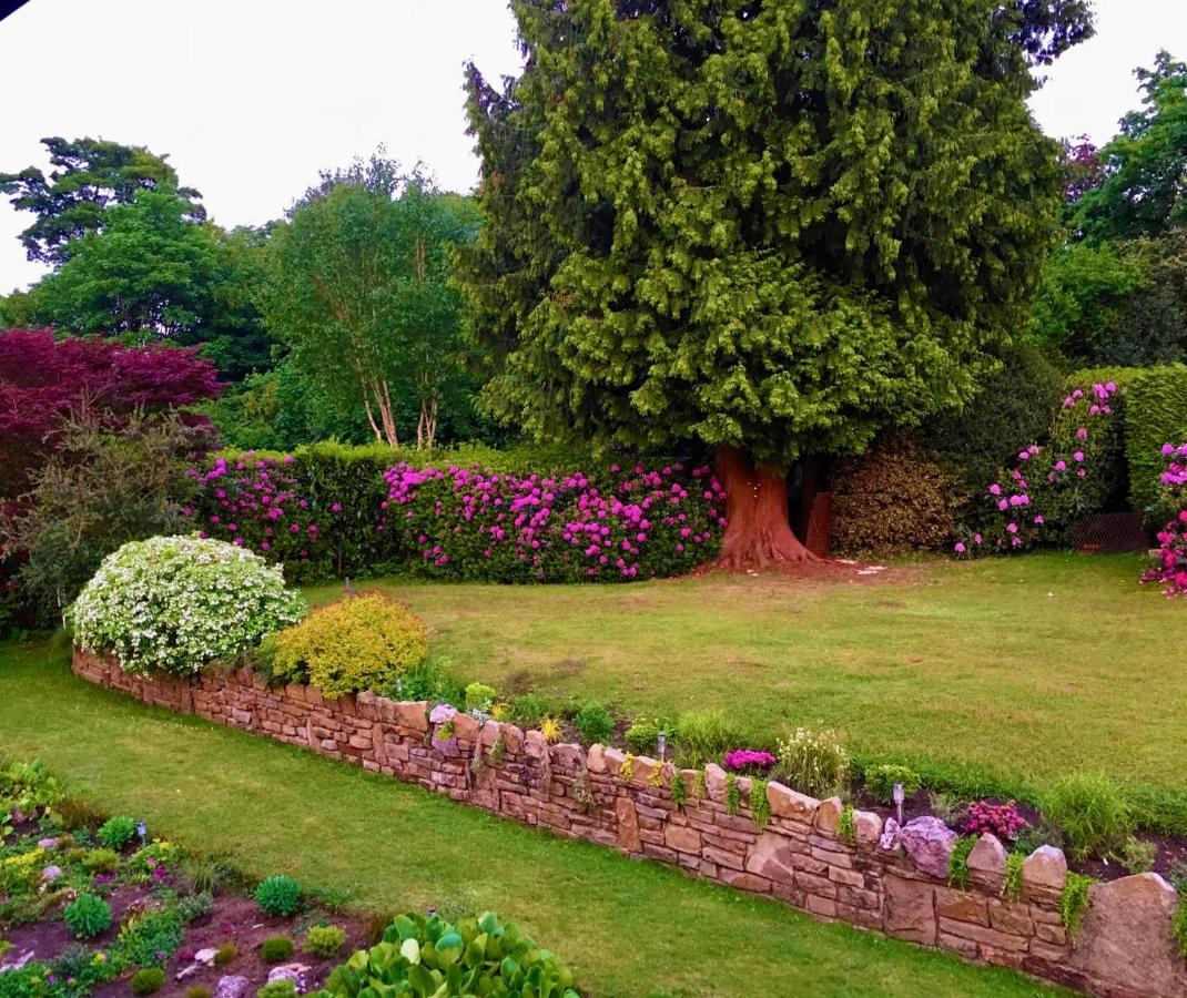 Ranmore Rise Retreat In The Surrey Hills Dorking Luaran gambar